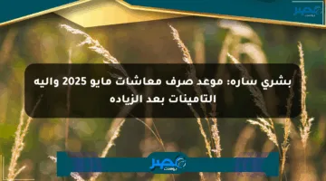 بشرى سارة: موعد صرف معاشات مايو 2025 وآلية التأمينات بعد الزيادة